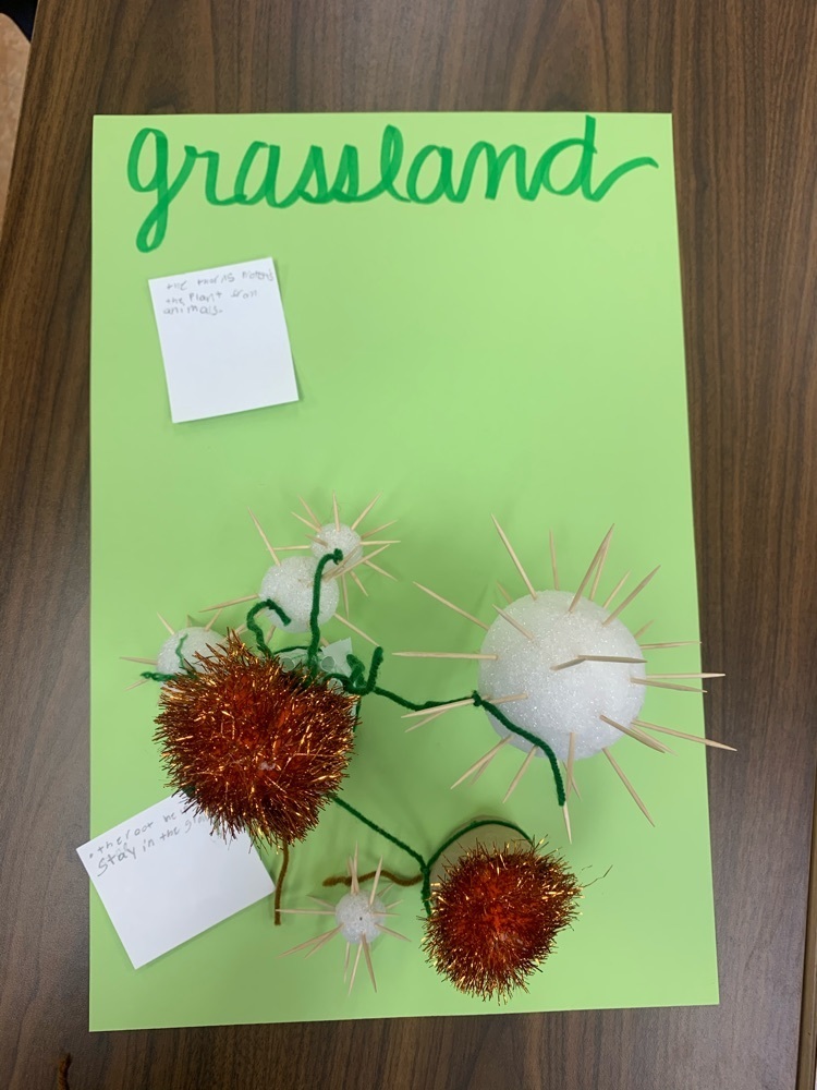 grassland