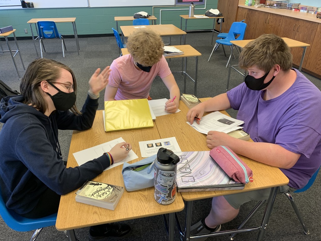 TKAM Analysis Groups