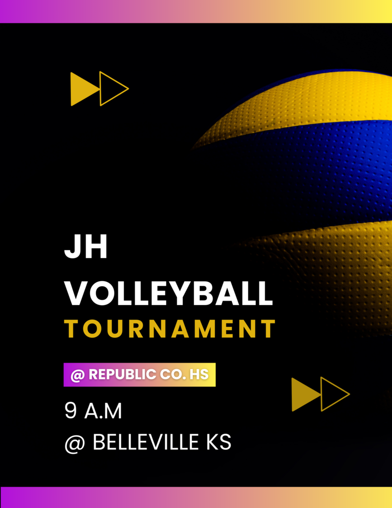 volleyball poster